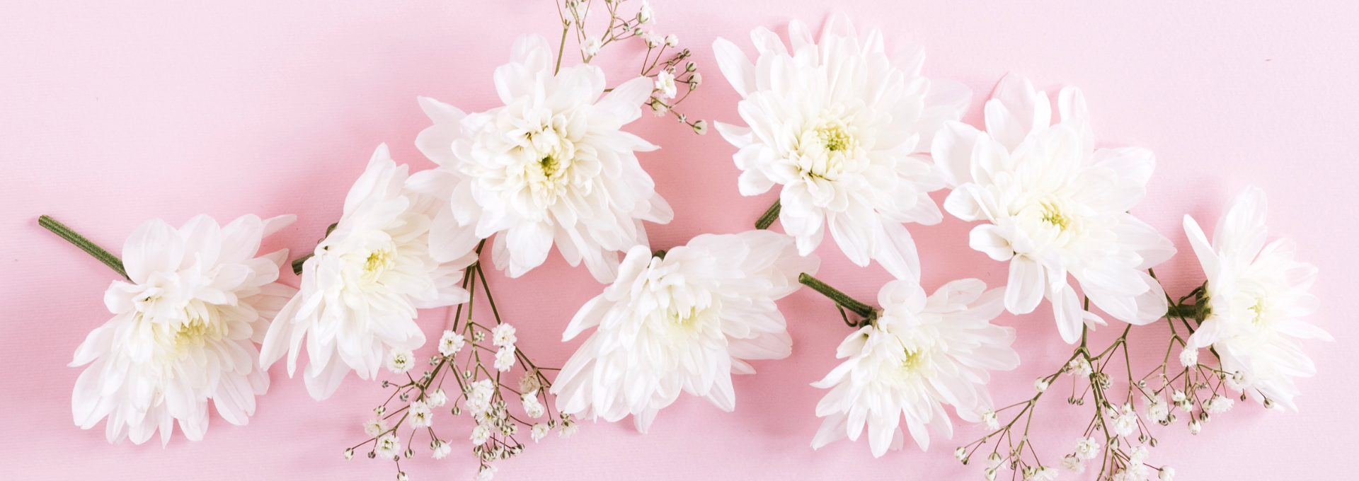 Bioresonanca zdravljenje